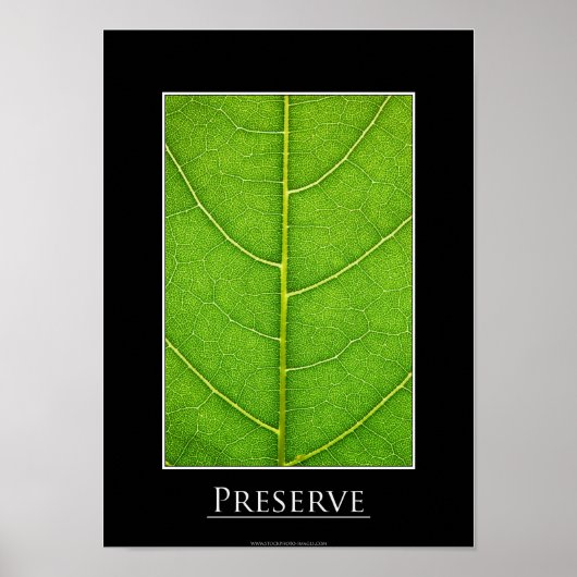 Leaf close-up Poster (Voorkant)