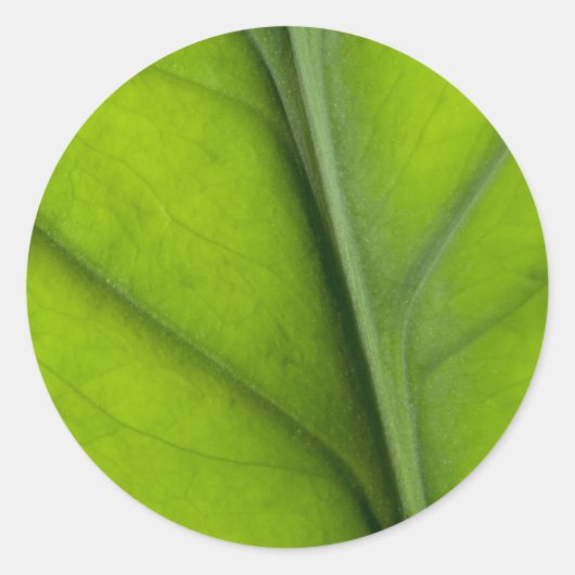 Leaf close-up ronde sticker (Voorkant)