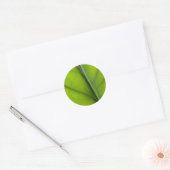 Leaf close-up ronde sticker (Envelop)