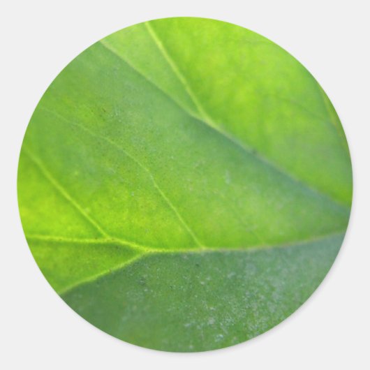 Leaf Closeup Sticker (Voorkant)