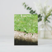 Leaf Cutter Ants in Costa Rica Briefkaart (Staand voorkant)