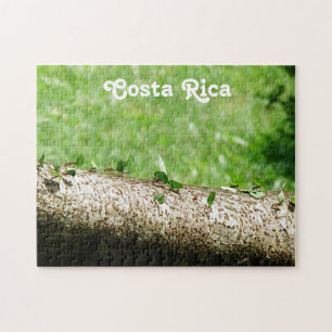 Leaf Cutter Ants in Costa Rica Legpuzzel