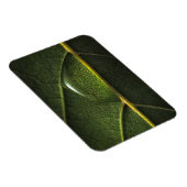 Leaf druplets magneet (Rechterzijde)