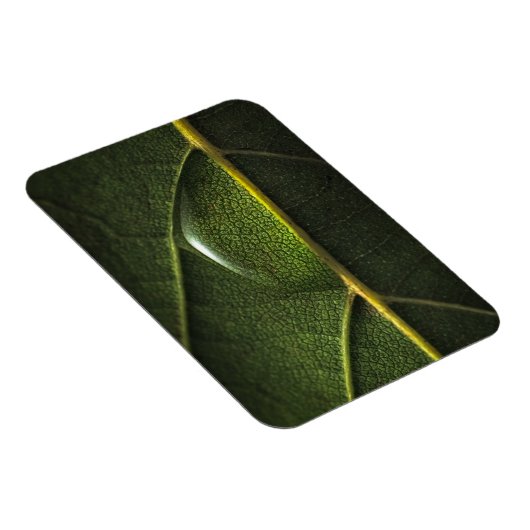 Leaf druplets magneet (Rechterzijde)