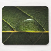 Leaf druplets muismat (Voorkant)
