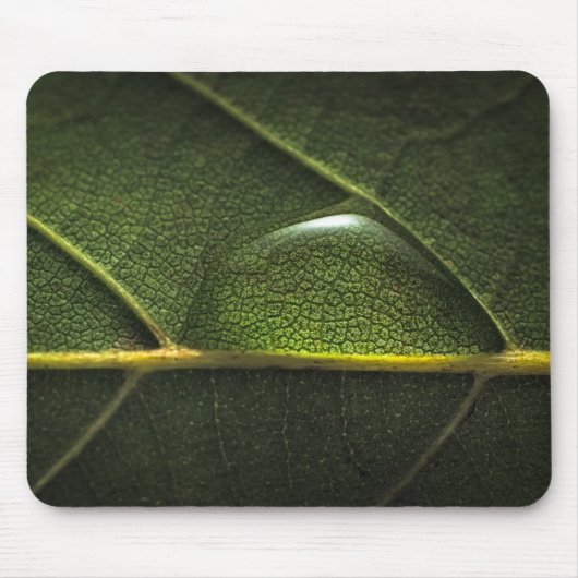 Leaf druplets muismat (Voorkant)