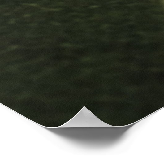 Leaf druplets poster (Hoek)