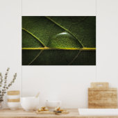 Leaf druplets poster (Keuken)