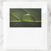 Leaf druplets rechthoekige sticker (Tas)