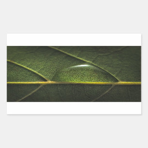 Leaf druplets rechthoekige sticker