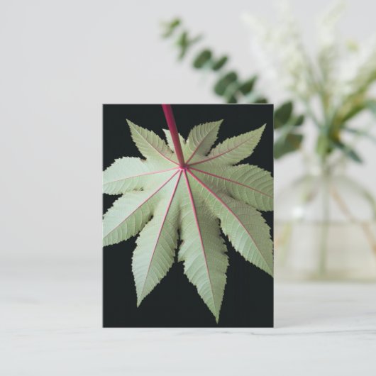 Leaf en Stem Briefkaart (Staand voorkant)