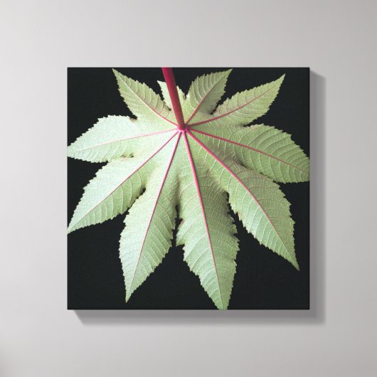 Leaf en Stem Canvas Afdruk (Voorkant)