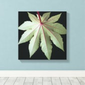 Leaf en Stem Canvas Afdruk (Insitu (Houten vloer))