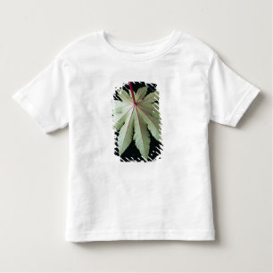 Leaf en Stem Kinder Shirts