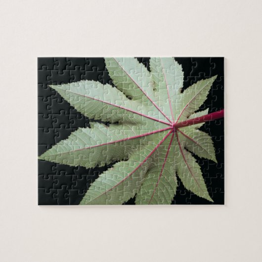 Leaf en Stem Legpuzzel (Horizontaal)