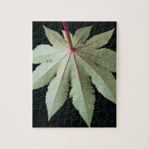 Leaf en Stem Legpuzzel