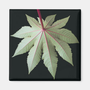 Leaf en Stem Magneet