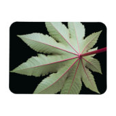 Leaf en Stem Magneet (Horizontaal)