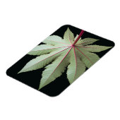 Leaf en Stem Magneet (Linkerzijde)