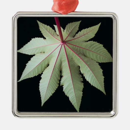 Leaf en Stem Metalen Ornament (Voorkant)