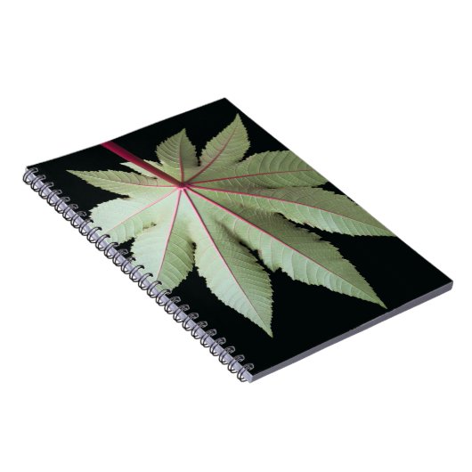 Leaf en Stem Notitieboek (Rechterzijde)