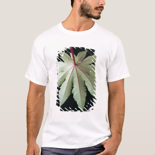 Leaf en Stem T-shirt (Voorkant)