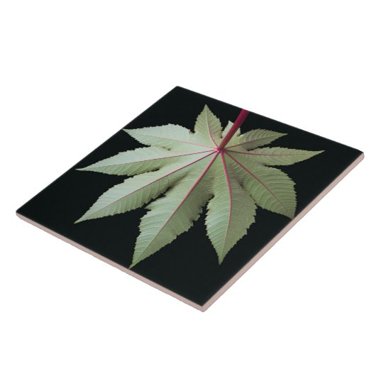 Leaf en Stem Tegeltje (Zijkant)