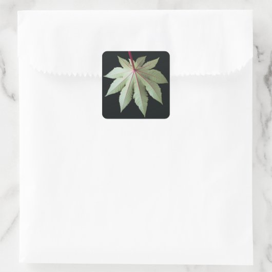 Leaf en Stem Vierkante Sticker (Tas)