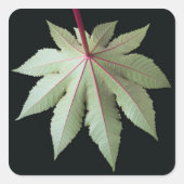 Leaf en Stem Vierkante Sticker (Voorkant)