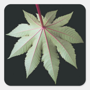 Leaf en Stem Vierkante Sticker