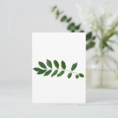 Leaf Fern Natuur Party Pack Briefkaart (Staand voorkant)