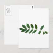 Leaf Fern Natuur Party Pack Briefkaart (Voorkant / Achterkant)