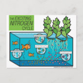 Leaf & Fin: Stikstofcyclus Infografisch Briefkaart (Voorkant)