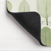  Leaf-illustraties Muismat (Hoek)