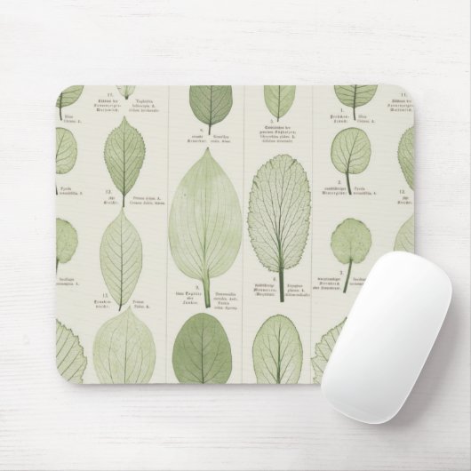  Leaf-illustraties Muismat (Met muis)