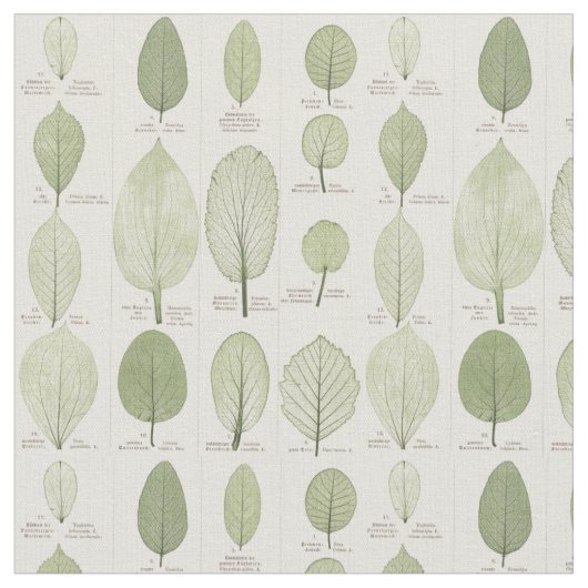 Leaf-illustraties Stof (Close Up)
