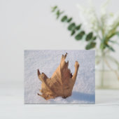 Leaf in de sneeuw, als de herfst de winter ontmoet briefkaart (Staand voorkant)