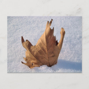Leaf in de sneeuw, als de herfst de winter ontmoet briefkaart