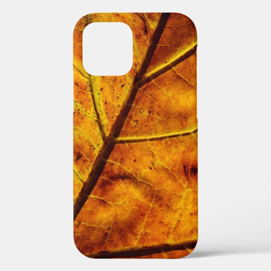 Leaf leaf veins fall texture Case-Mate iPhone case (Achterkant)