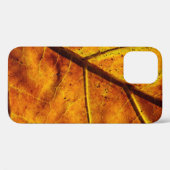 Leaf leaf veins fall texture Case-Mate iPhone case (Achterkant (horizontaal))