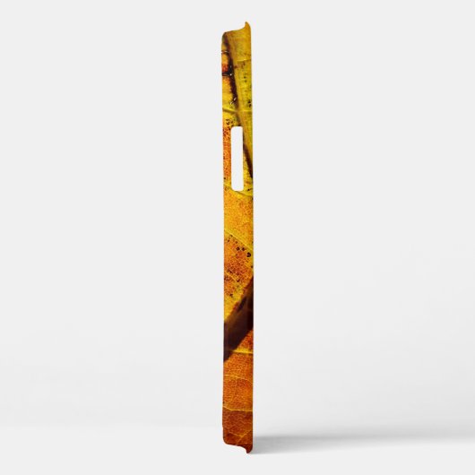 Leaf leaf veins fall texture Case-Mate iPhone case (Achterkant / Rechts)