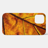 Leaf leaf veins fall texture Case-Mate iPhone case (Achterkant (horizontaal))