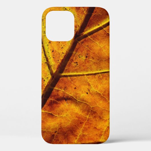 Leaf leaf veins fall texture Case-Mate iPhone case (Achterkant)