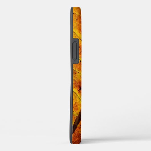 Leaf leaf veins fall texture Case-Mate iPhone case (Achterkant / Rechts)