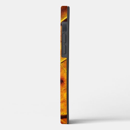 Leaf leaf veins fall texture Case-Mate iPhone case (Achterkant / Links)