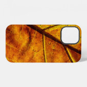 Leaf leaf veins fall texture iPhone hoesje (Achterkant horizontaal)