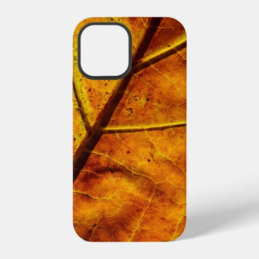 Leaf leaf veins fall texture iPhone hoesje (Achterkant)