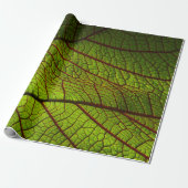Leaf macro veins leaf veins green cadeaupapier (Uitgerold)