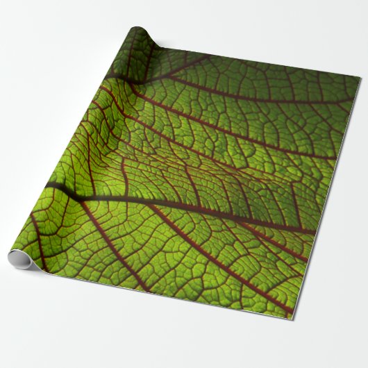 Leaf macro veins leaf veins green cadeaupapier (Uitgerold)