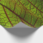 Leaf macro veins leaf veins green cadeaupapier (Hoek)